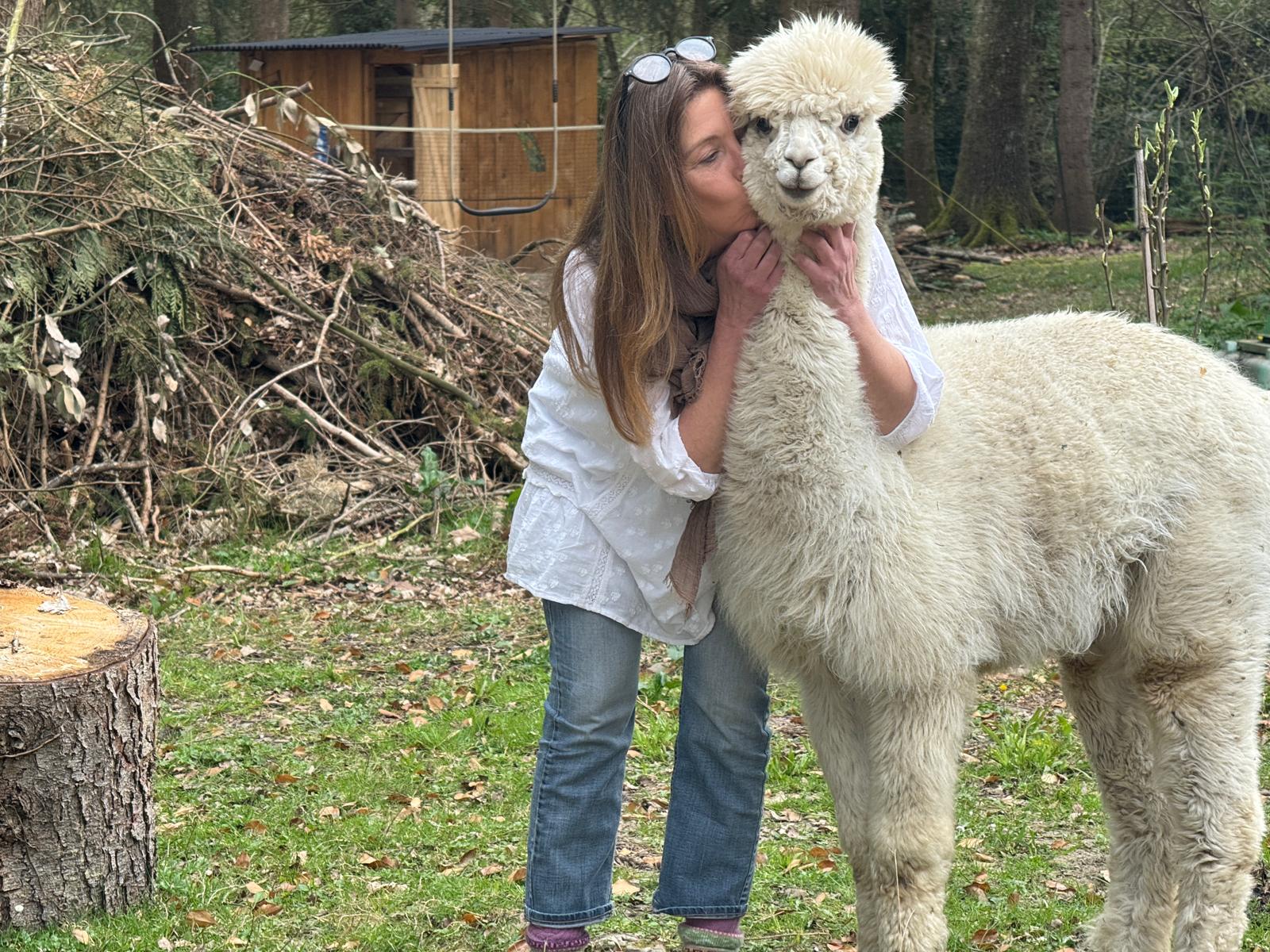 Why Alpaca Wool is the Ultimate Choice for Your Dog's Bed